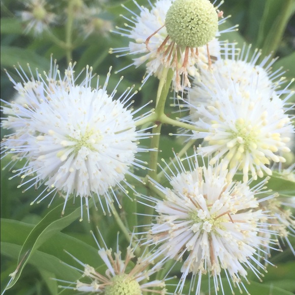 Meet your Posher, Michael - Picture 5 of 7